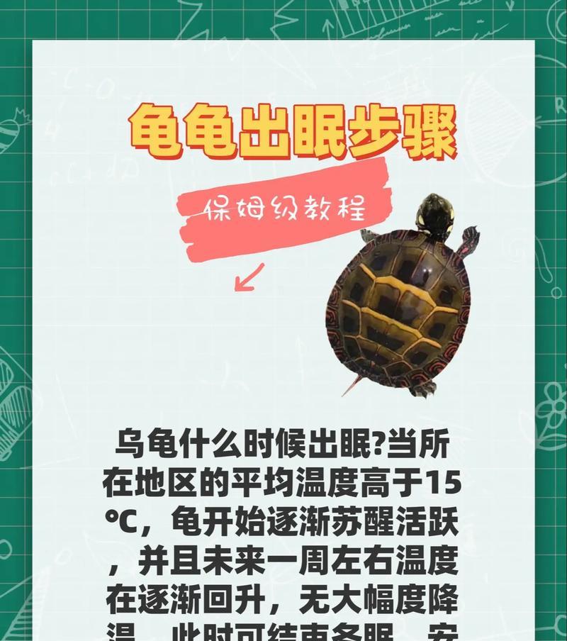 澳洲短颈龟的全面饲养指南（打造健康宠物，从饲养开始）
