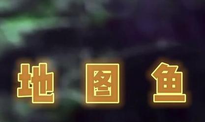 地图鱼的饲养方法（如何让你的地图鱼健康成长？）