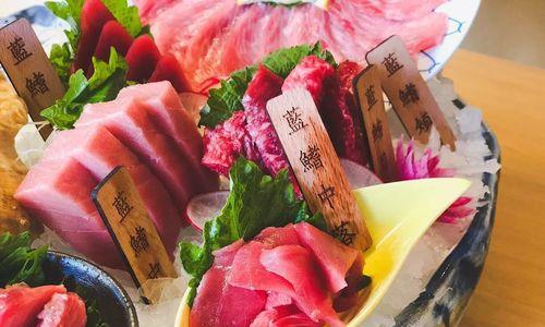 五鳍相逢的饲养方法（让你的宠物更健康快乐的秘诀）
