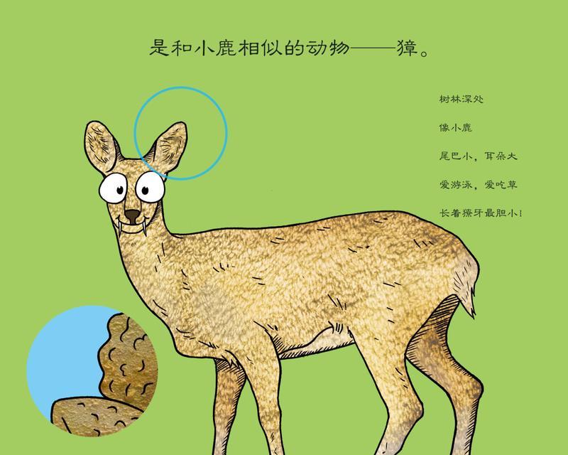 如何饲养金腹松鼠（金腹松鼠的养殖方法和技巧，让你的宠物健康成长）