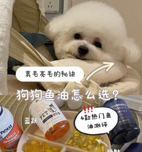 盲鱼的饲养方法（如何让盲鱼健康快乐地生活）