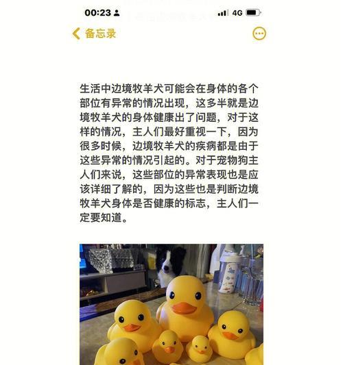 边境牧羊犬呕吐的原因（从宠物饮食、环境、身体状态等方面探究）