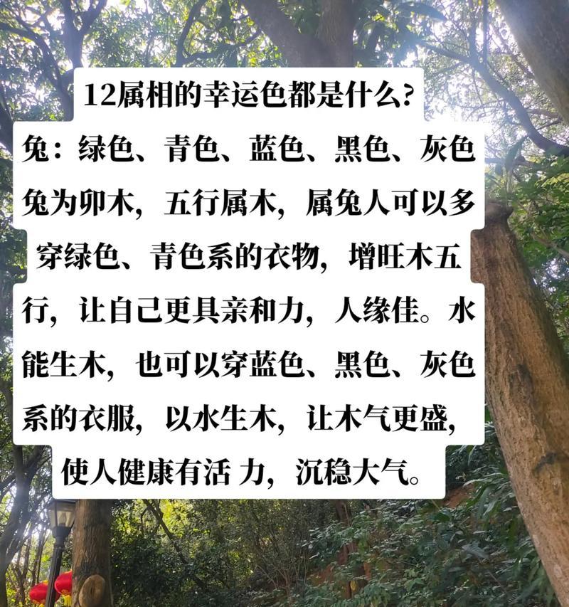 灰鼠兔的饲养方法（了解灰鼠兔的特点与喜好，从而做好饲养工作）