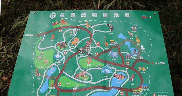 白颊吊的饲养方法（科学养殖白颊吊，让它健康成长）
