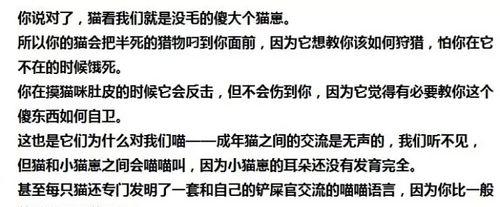 猫咪回家与品种有关系的原因（揭秘猫咪回家问题的5个品种相关因素）