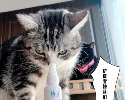 高价牛磺酸真的必要吗？揭开猫主子关注的6个问题（了解牛磺酸的真相，让猫咪更健康）