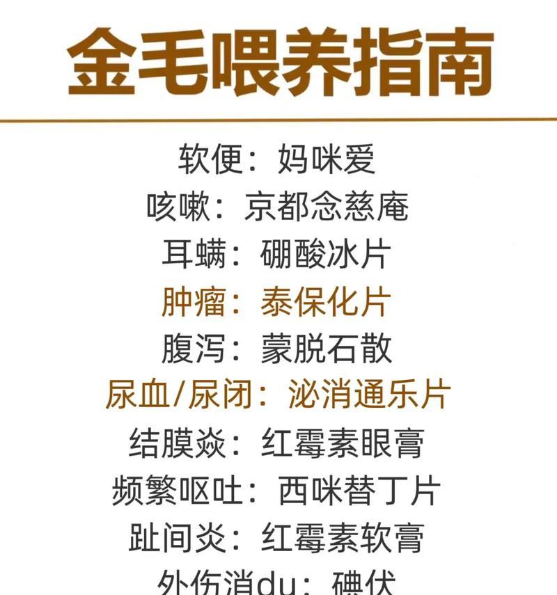 狗狗各阶段喂养指南（不同阶段适合吃的狗粮及喂养要点）