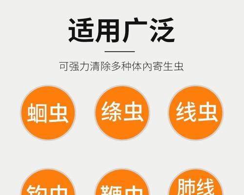 全面指南（驱虫方法、时间和周期的详细解析，守护猫咪的健康）