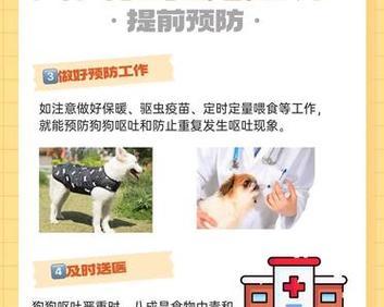 狗狗干呕频繁可能是胃酸倒流引起的问题（了解胃酸倒流的症状和应对方法，保护狗狗的胃健康）