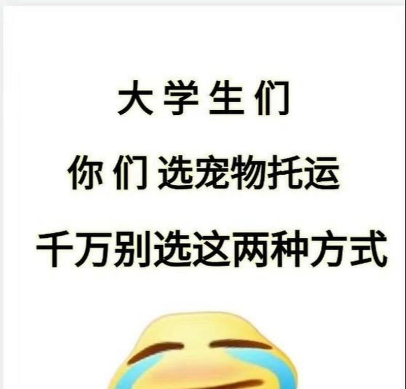 宠物托运指南（了解可托运宠物和相关事项）