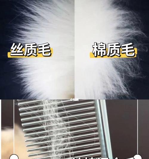 猫狗掉毛祛除大作战（综合方法帮助你轻松解决猫狗掉毛问题）