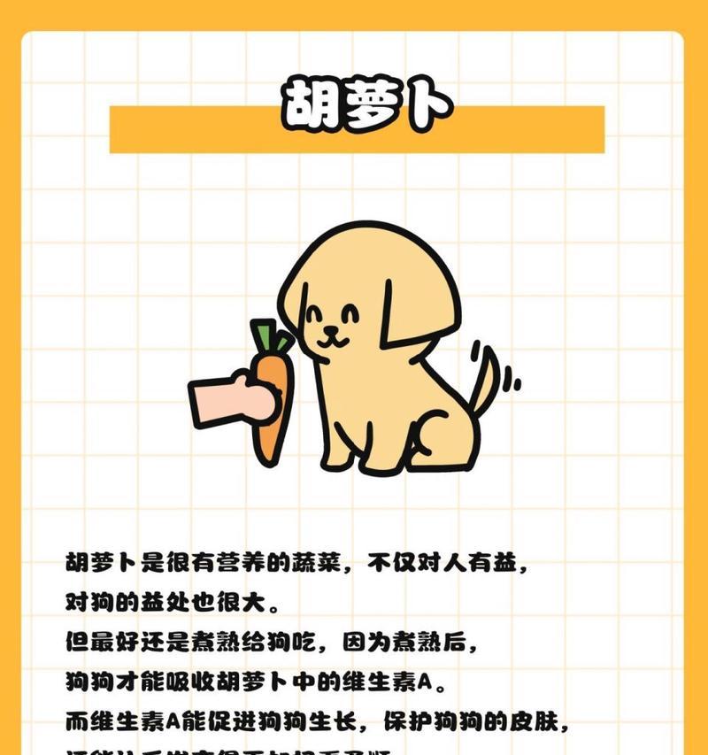 狗狗的营养均衡之路（探索狗狗最健康的饮食选择，为它们提供全面的营养支持）