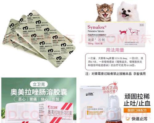 探究猫咪胃溃疡的症状和治疗方法（了解胃溃疡是如何影响猫咪健康的，以及如何帮助它们康复）