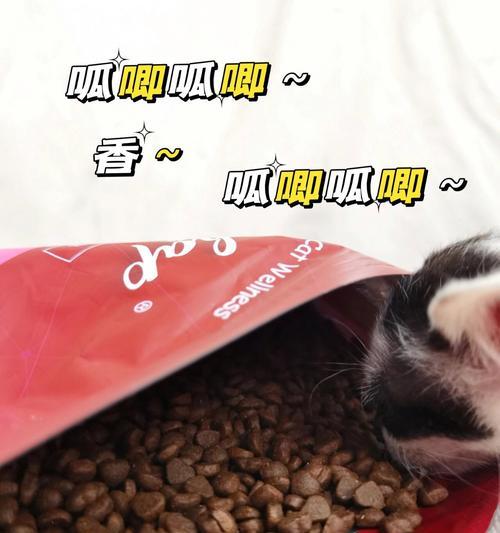猫咪断奶的注意事项及最佳时机（了解猫咪断奶期间的关键问题及其影响）