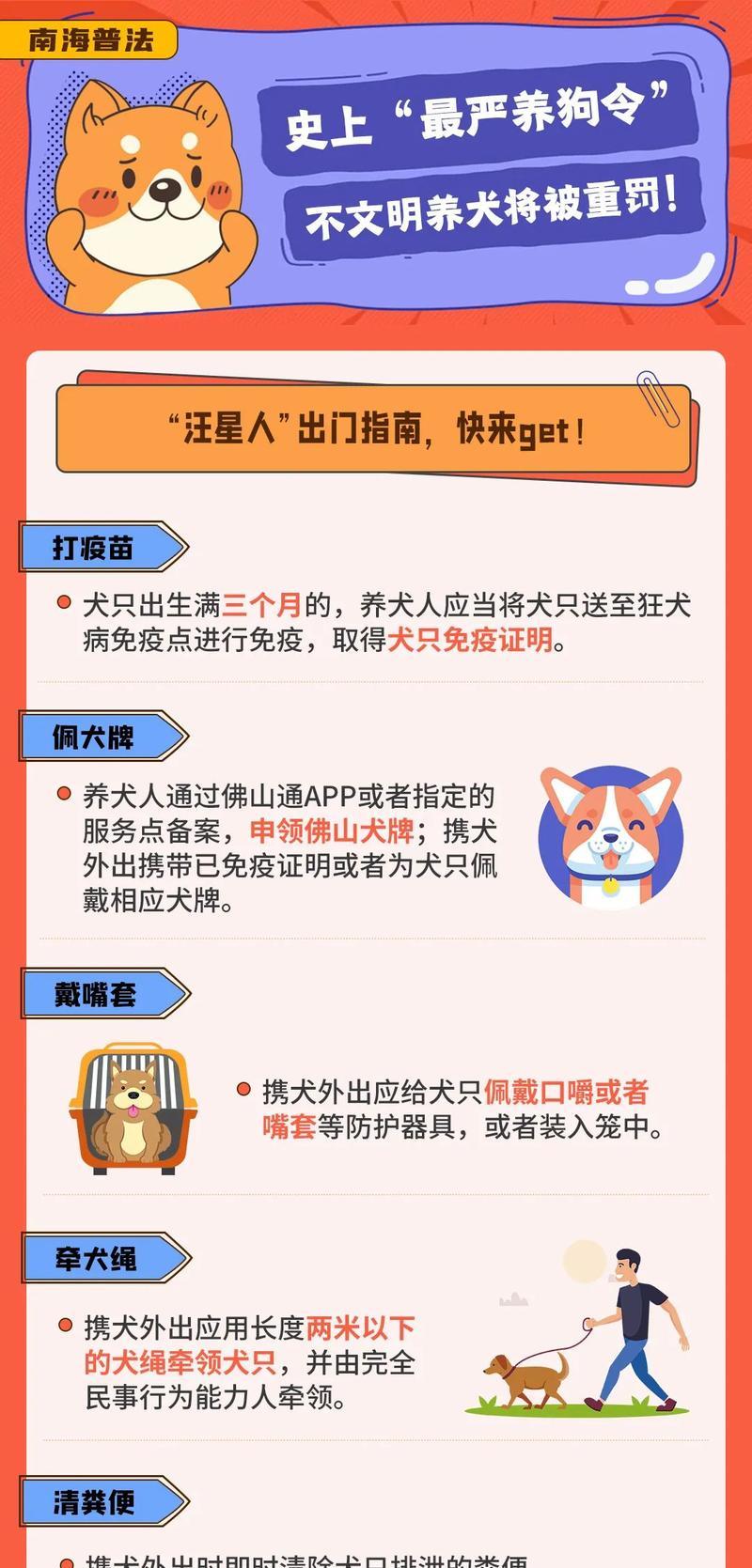 让你的爱犬洗澡成为一种享受——轻松洗狗的五招（不配合铲屎官也能轻松洗狗，关键在于技巧和耐心）