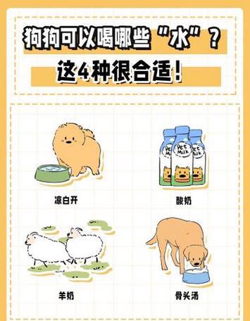小狗喝奶牛奶还是羊奶好？（饲主必看！了解正确喂养方法，避免小狗腹泻问题）
