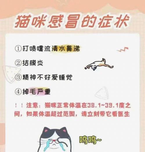 猫鼻支的特点及处理方法（了解猫鼻支的特点和应对方法，让它们重获健康）