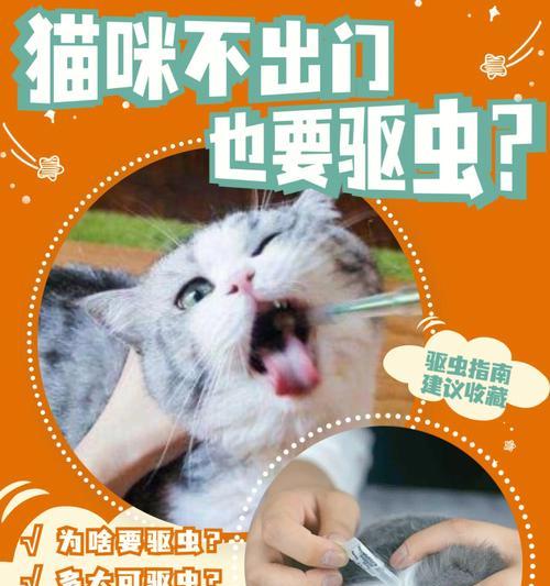 家中养猫需驱虫吗？寄生虫引发的猫咪疾病与预防（认识猫咪寄生虫的表现及预防措施，保障宠物健康）