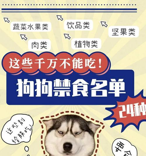 引起狗狗呕吐反胃的其他原因（探索狗狗呕吐的不同触发因素）