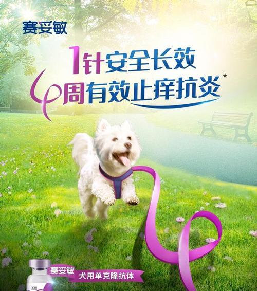 如何有效解决狗狗频繁挠痒问题（了解狗狗驱虫的重要性，为宠物健康加分）