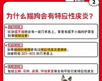 狗狗呕吐千万别忽视！这些常见原因需引起警惕（了解背后的3种常见原因，保护宠物健康）