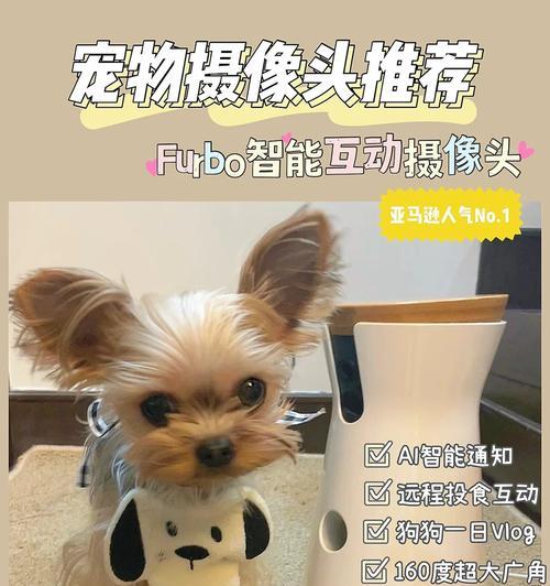 急救狗狗中毒的简易解毒办法（关键时刻可救命，学会这些方法保护你的宠物）