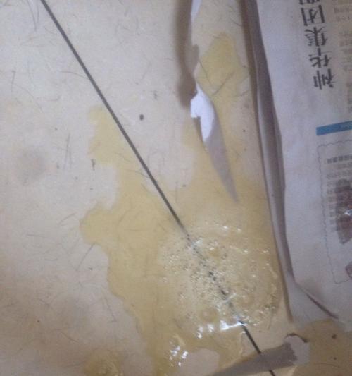狗狗呕吐拉稀的常见原因及简单解决办法（了解狗狗呕吐拉稀的原因，你需要知道这些！）