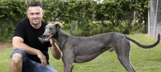 格力犬——最擅长奔跑的犬类（追逐猎物的速度之王）