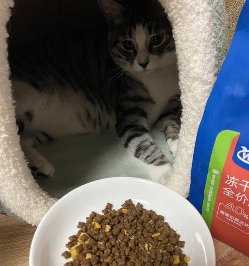 猫咪挑食怎么办？让它乖乖吃饭的秘诀！（解决猫咪挑食问题的关键，让你的猫咪健康成长！）