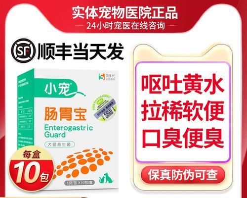 狗狗呕吐拉稀，让它吃啥啥香的好方法（简单、便宜有效！帮助狗狗恢复健康的秘诀）