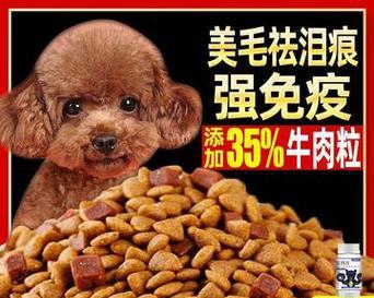 泰迪成犬如何选择合适的狗粮？（为你的泰迪成犬提供均衡营养的狗粮选择指南）