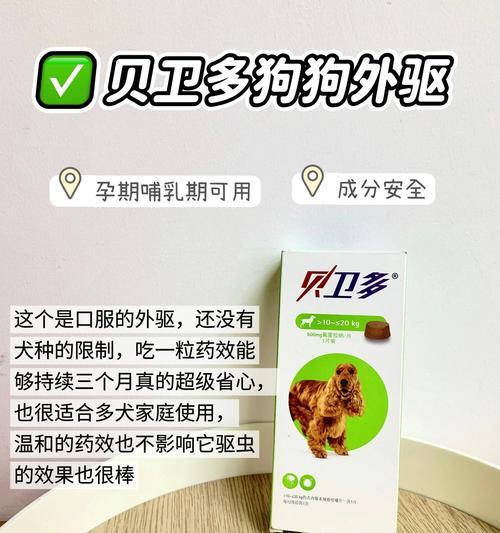 宠物狗狗身上的跳蚤与虱子的驱除方法（保护狗狗健康，轻松驱除跳蚤与虱子）