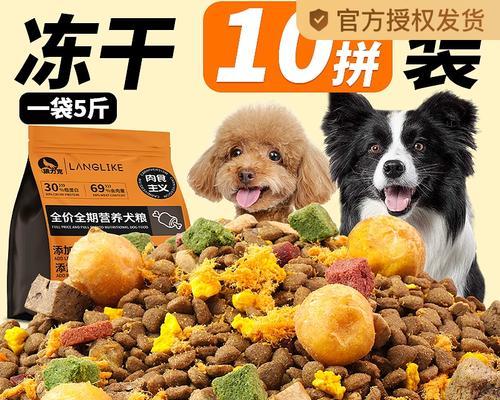 如何选择适合泰迪犬的狗粮？（为您解析泰迪犬的饮食需求和如何选购狗粮）