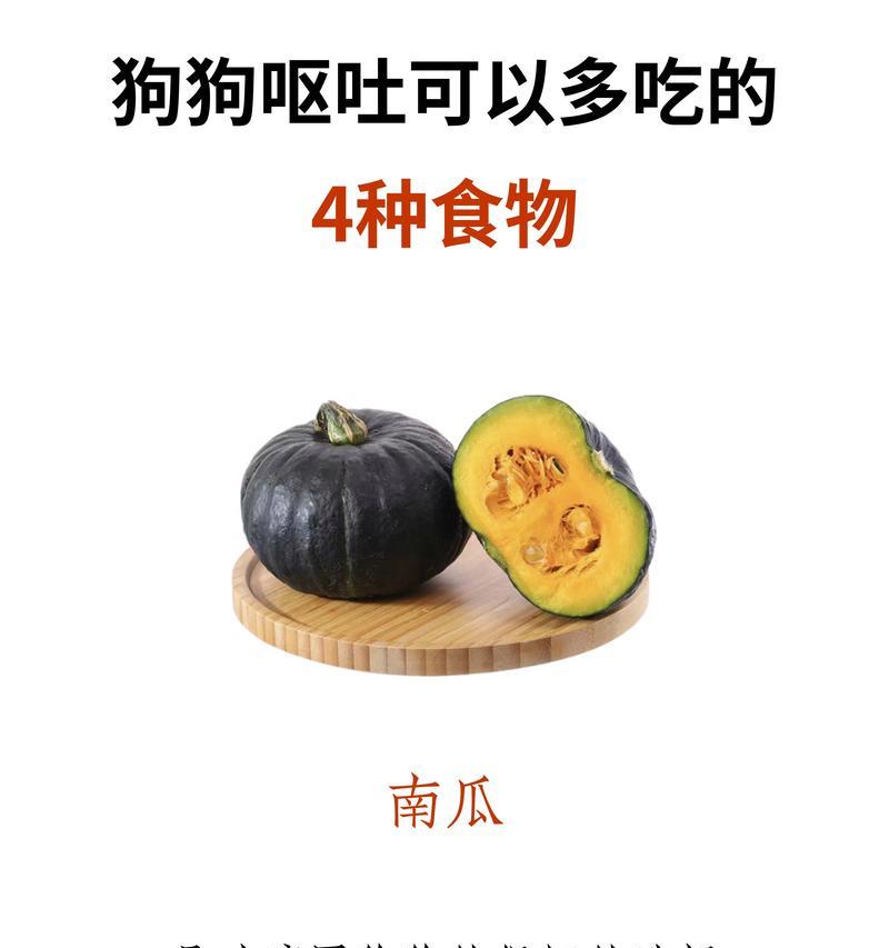 狗狗呕吐的原因和应对方法（探寻狗狗呕吐的常见原因和正确处理方法）