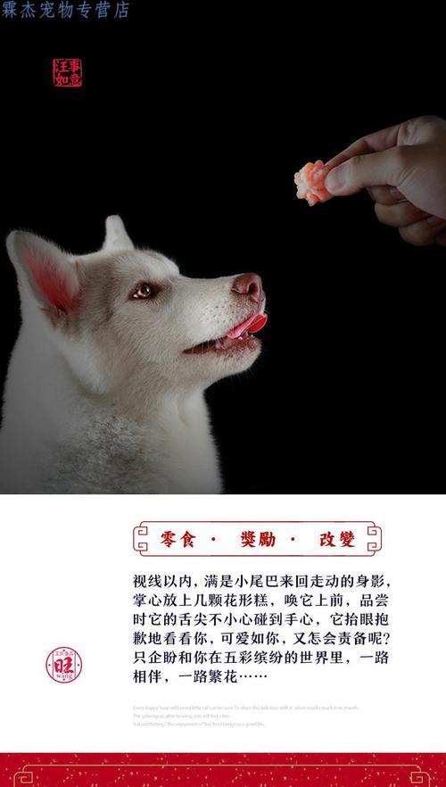 解决泰迪犬挑食的有效方法（泰迪犬挑食解决办法及实用技巧）