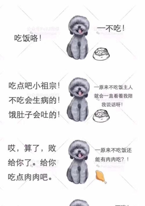 合理喂养泰迪宝宝——狗粮的用量控制（以泰迪个体为基础，科学调整狗粮摄入量）