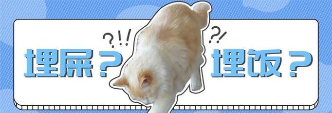 猫为何总是踩到自己的屎？原因揭秘！（探究猫咪踩屎行为的动机和原因，揭示屁股清洁和遗传因素的关键）