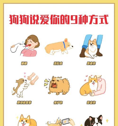 解决狗狗关进笼子后叫闹问题的5步方法（手把手教你让狗狗乖乖进笼，告别无休止的叫声）