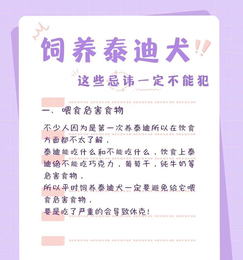 泰迪犬弃养率居高不下的五大原因（探寻泰迪犬高弃养率的背后原因及解决之道）