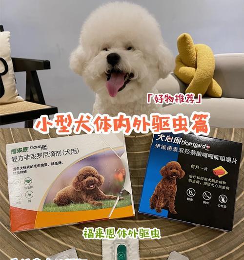 松狮犬拉稀的处理方法（如何做好松狮犬的体内外驱虫工作）