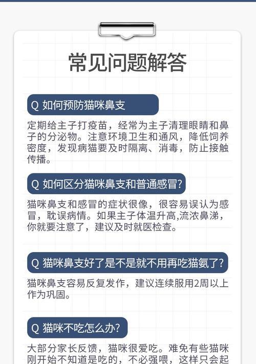 如何选择适合猫咪的优质营养膏（辨别营养膏的好坏，为你的猫咪选择最佳食品）