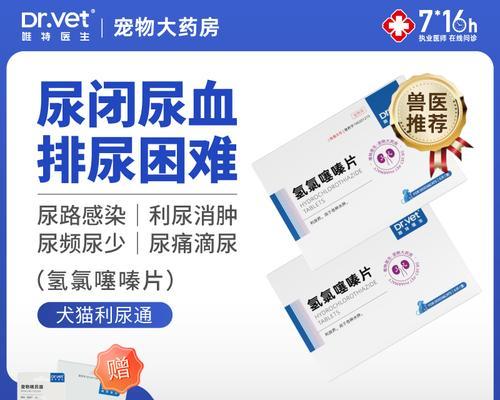 泰迪流鼻涕原因及药物治疗指南（探究泰迪流鼻涕的原因，了解何时需要用药进行治疗）