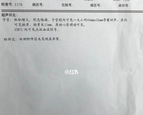 狗狗产检的重要性及流程解析（了解狗狗产检的好处和流程，关注宠物健康）