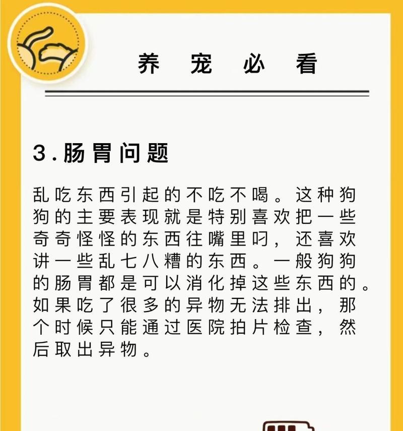 小狗狗为何会呕吐不吃东西？如何处理？（揭秘小狗狗呕吐和食欲不佳的原因，提供有效的处理方法）