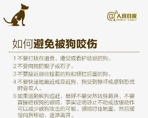 如何判断狗狗是否染上了狂犬病（六个症状揭示你的宠物健康状况）