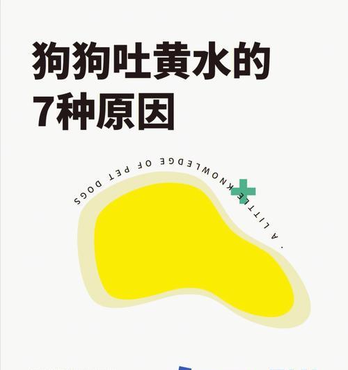 狗狗食欲不好？如何改善？（解决狗狗食欲不振的有效方法）