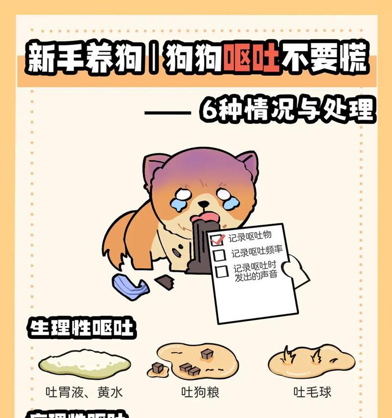 狗狗呕吐的原因、治疗方法与分辨方式（了解狗狗呕吐的原因，及时治疗保健）