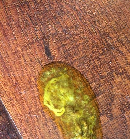狗狗腹泻（探寻狗狗腹泻的高发季节和预防措施）