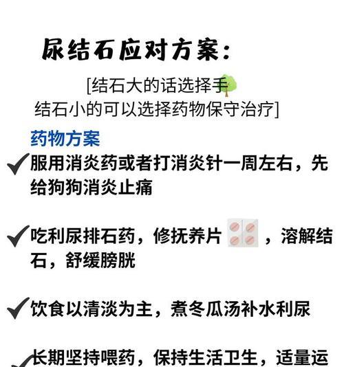 狗狗的排尿问题（了解你家狗狗的排尿情况，预防结石的发生与治疗）