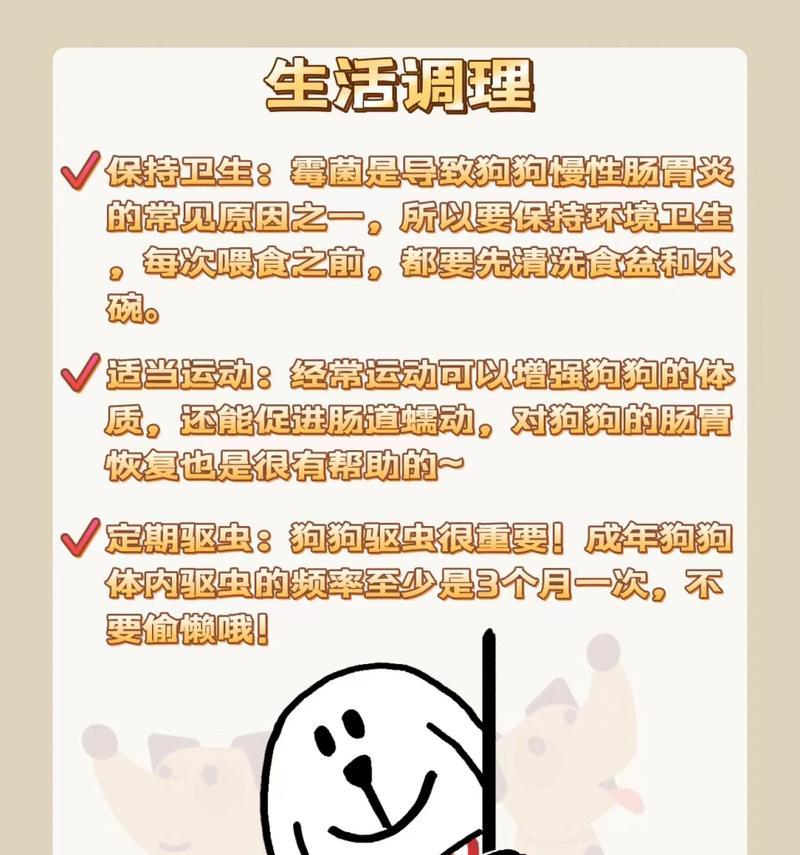 狗狗呕吐不仅仅是食物问题（了解胃炎的可能原因及处理方法）